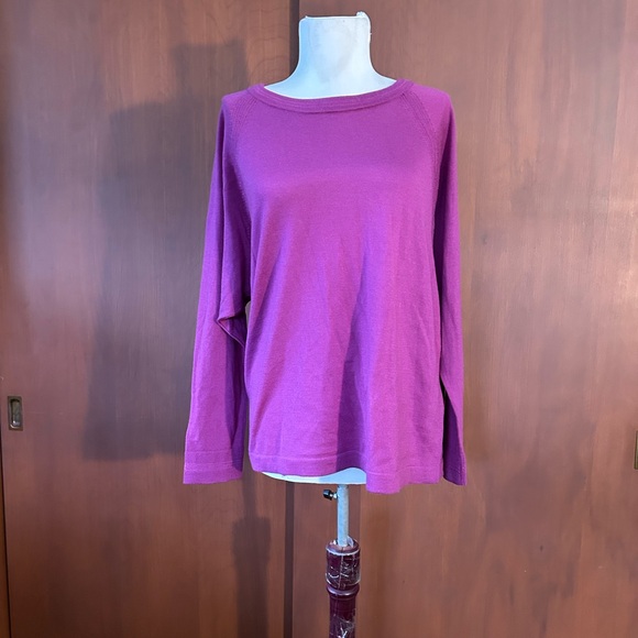 J. Jill Sweaters - NWT J. Jill Merino Wool Sweater